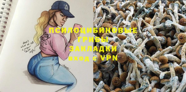 бутират Богородицк