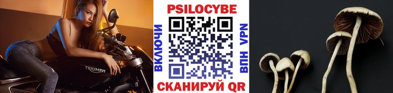 Галлюциногенные грибы Cubensis Армавир