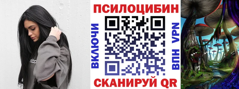 Галлюциногенные грибы Psilocybe Армавир